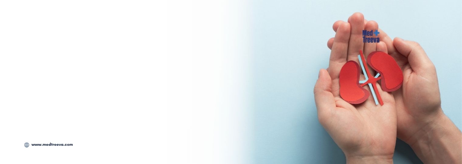 web_Advanced Kidney Cancer Treatment In India