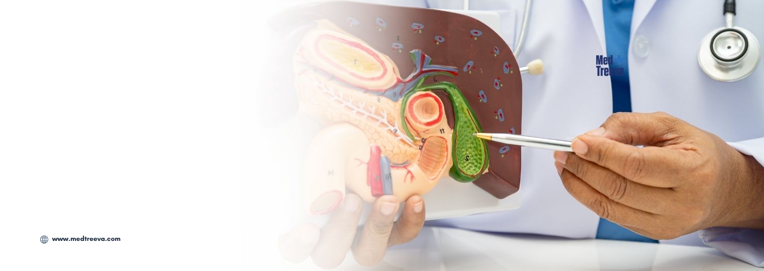 web_Gallbladder Stone Surgery In India