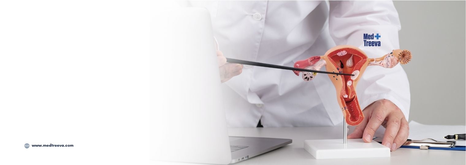 web_Hysteroscopic Polypectomy in India