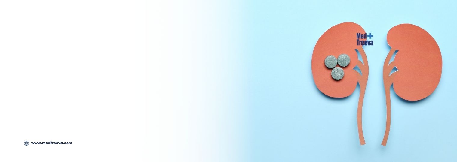 web_Kidney Stone Removal In India