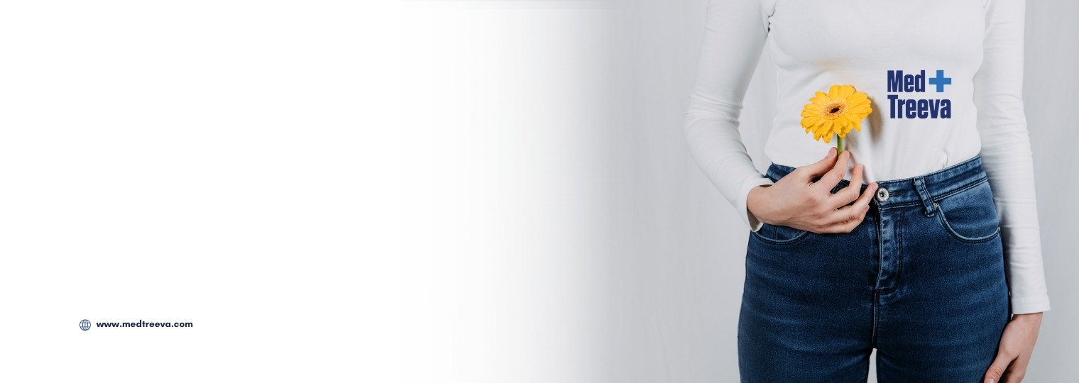 web_Labiaplasty Surgery in India