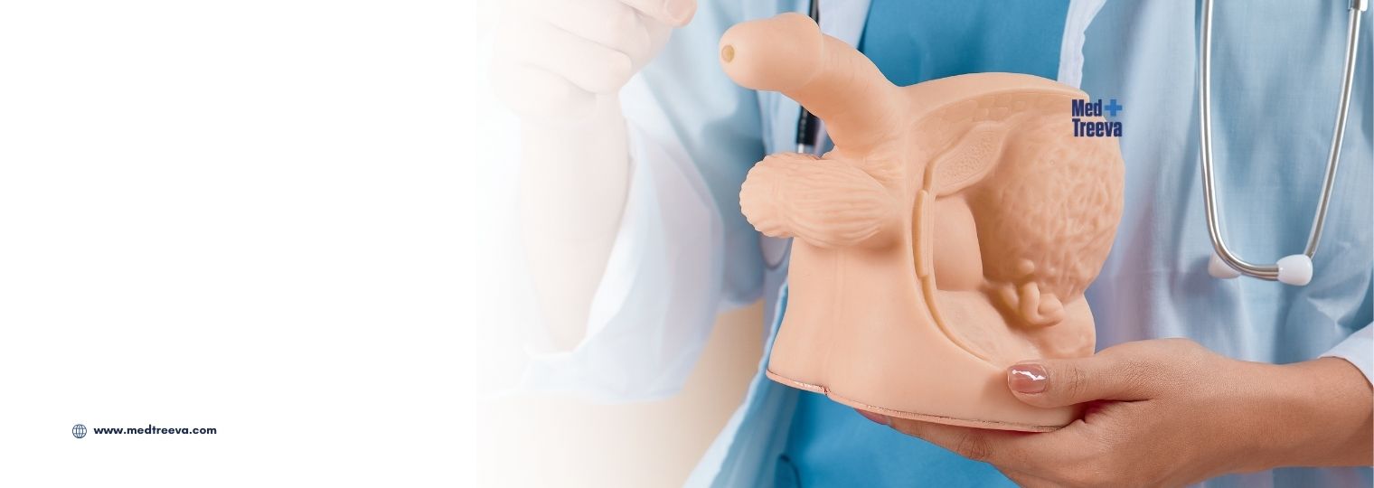 web_Penile Implant In India