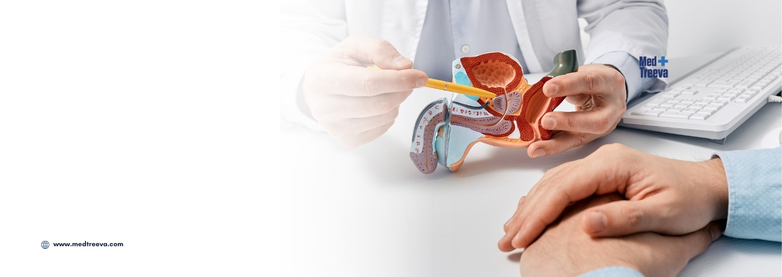 web_Radical Prostatectomy In India