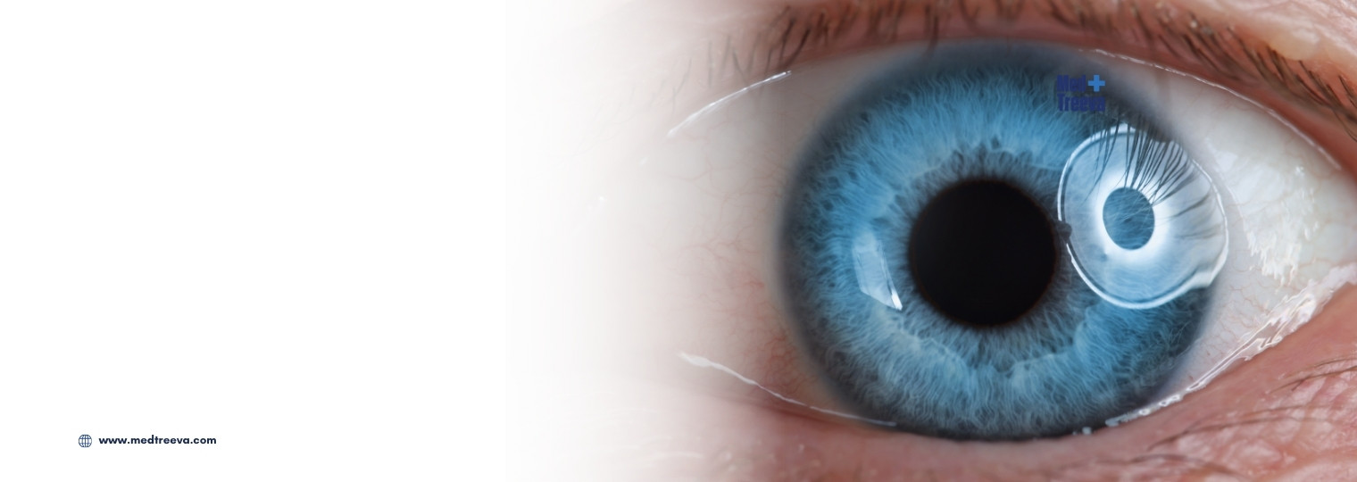 web_Retinal Detachment Surgery In India