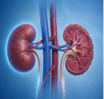 Chronic Kidney Disease Treatment in India