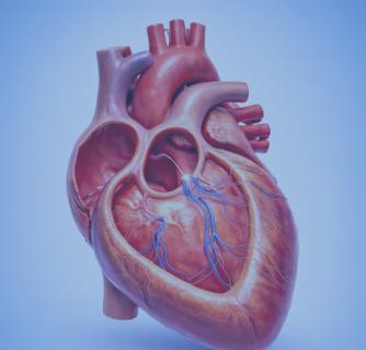 Pediatric Heart Surgery in India